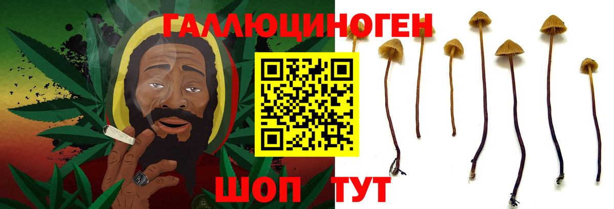 Галлюциногенные грибы мухоморы Озёры