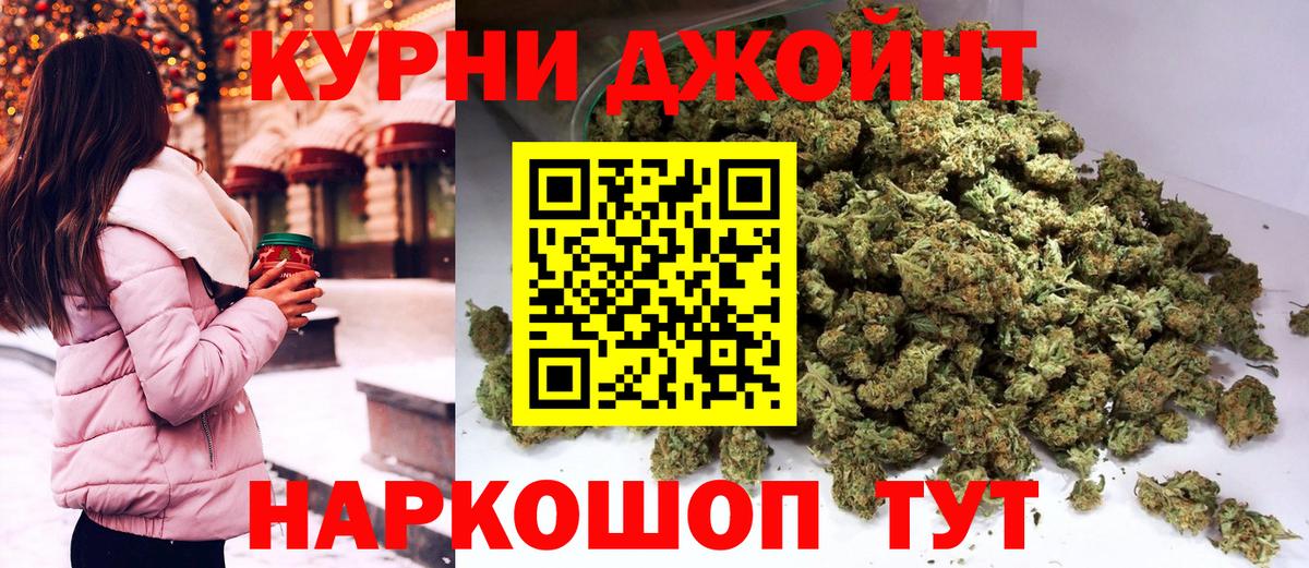Конопля планчик Озёры